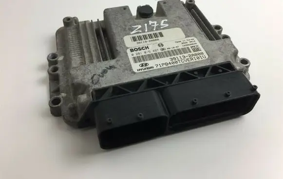 Hyundai i20 (PB PBT) Other control units/modules 391132A000 Z175
