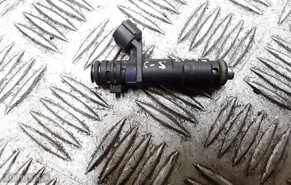 Citroen C5 Fuel injector deka71