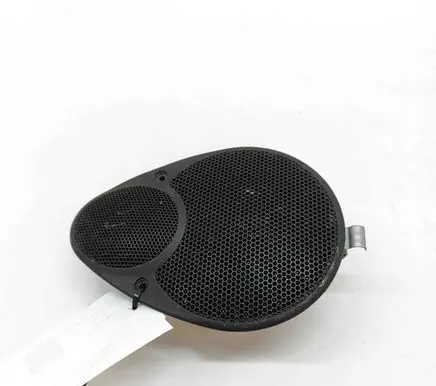 Panel speaker