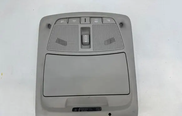 Renault Koleos II Front seat light 96980XXXXR 248804435R
