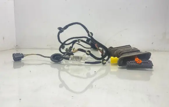 Volkswagen PASSAT B7 Front door wiring loom 3AB971121AG