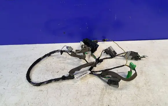 Other wiring loom