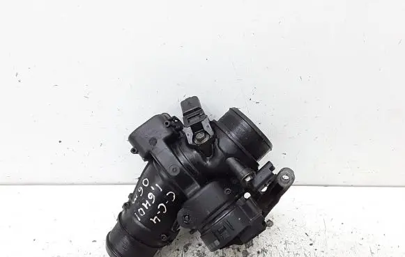 Citroen C4 I Throttle valve 9660030480