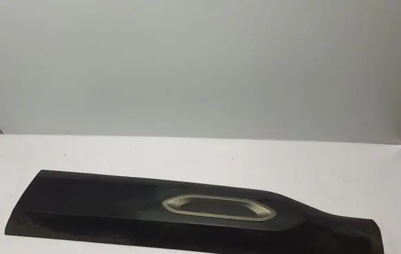 Citroen C4 III e-C4 Front door trim (molding) 9830660880