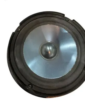 Front door speaker