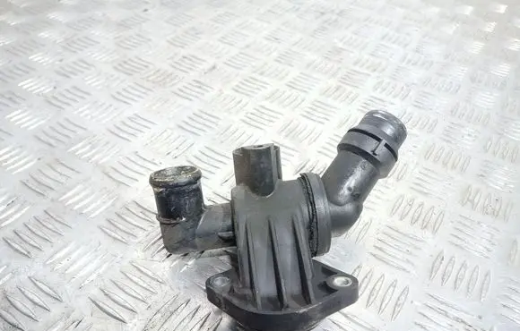 Thermostat/thermostat housing