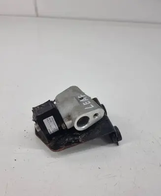 Nissan Leaf I (ZE0) Air conditioning (A/C) expansion valve 4433101194