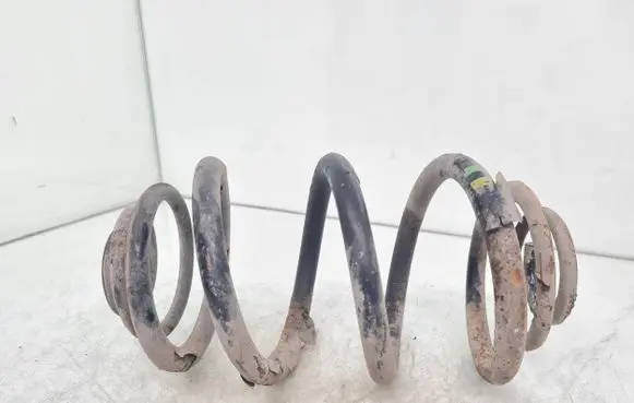 Opel Vivaro Rear coil spring