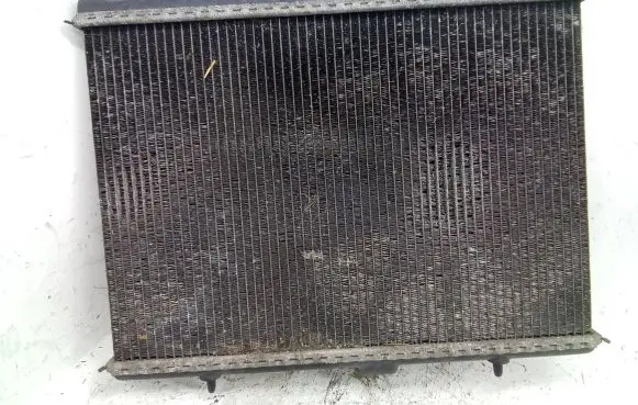 Peugeot Expert Coolant radiator 1401279580 R5450003