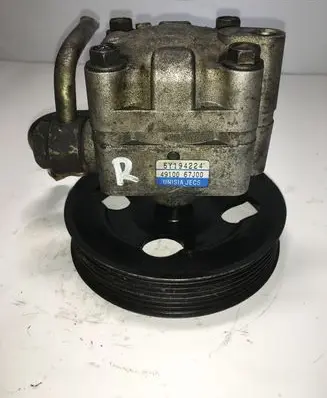 Suzuki Grand Vitara II Power steering pump 4910067J00 5Y194224