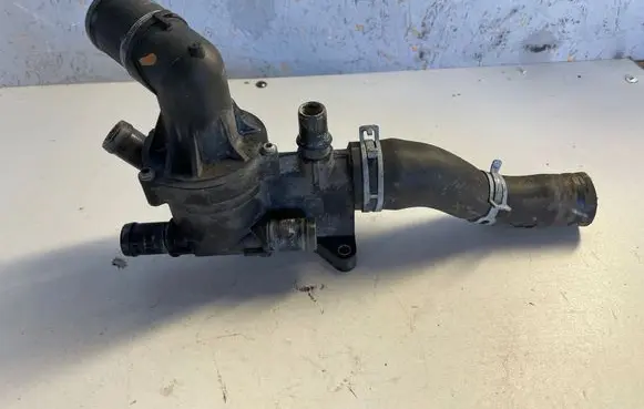 Thermostat/thermostat housing