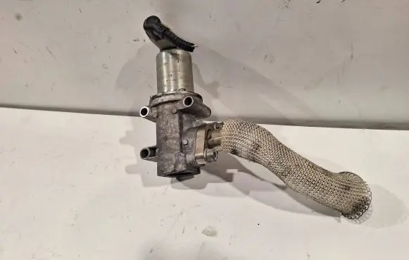 Fiat Doblo EGR valve
