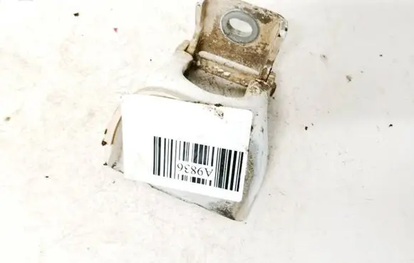 Renault Kangoo II Front door upper hinge