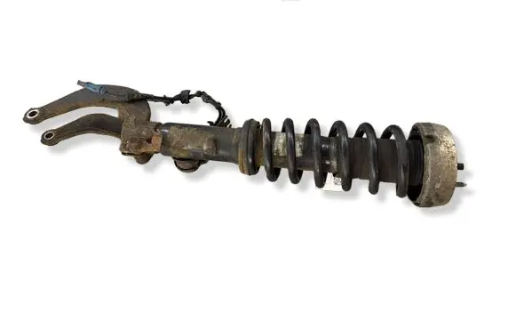 BMW X6 E71 Front shock absorber/damper 6794536