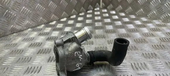 Thermostat/thermostat housing