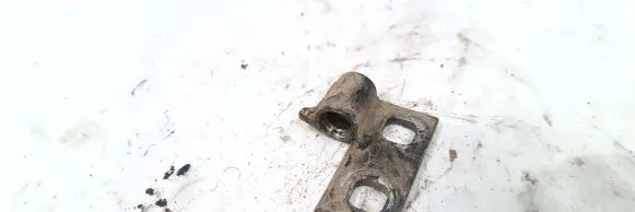 BMW 3 E46 Front door lower hinge 