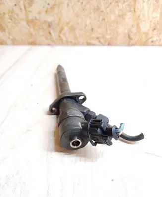 Peugeot 607 Fuel injector 0445110036