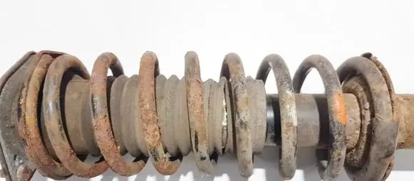 Front coil spring