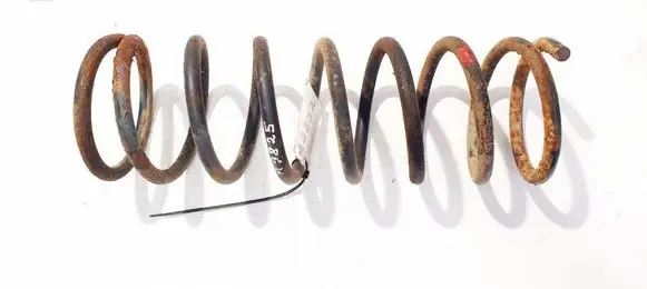 Rear coil spring