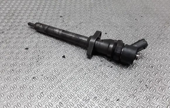 Citroen C5 Fuel injector 0445110036