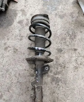 Nissan Qashqai Front shock absorber with coil spring 824903003493