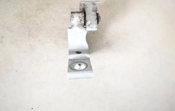Rear door lower hinge