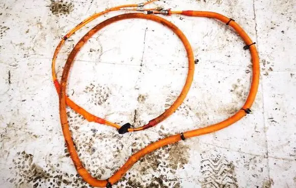 Tesla Model S Other wiring loom 103058210G