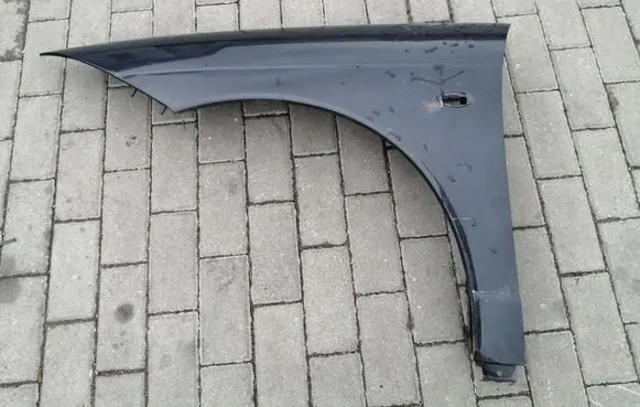Citroen C6 Fender
