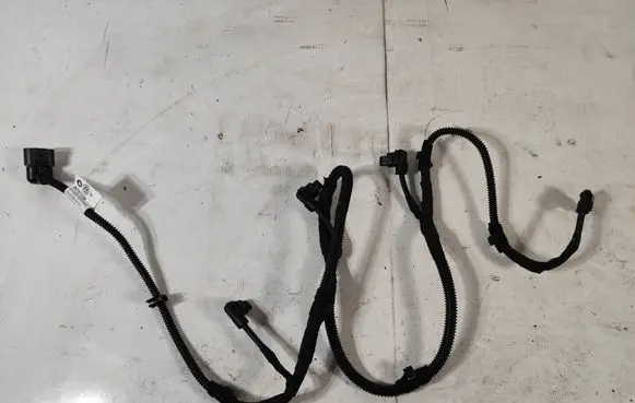 Other wiring loom