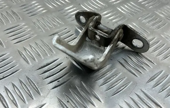 Rear door lower hinge