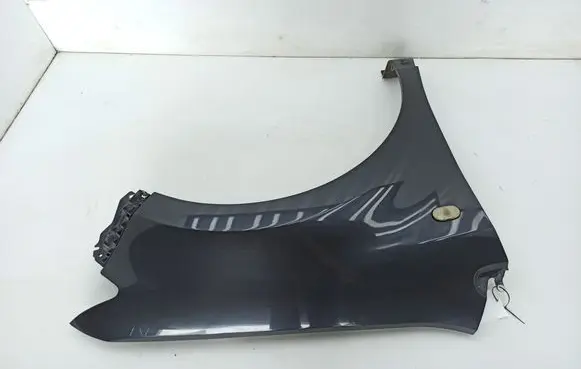 Ford Edge I Fender