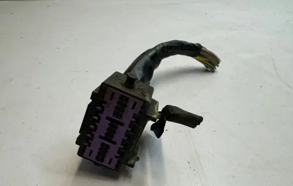 Ford Mustang VI Other wiring loom