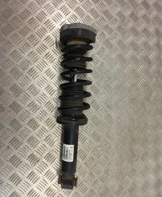 BMW X3 F25 Rear shock absorber with coil spring 6796317