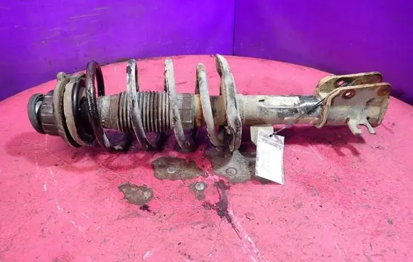 Fiat Bravo Front shock absorber with coil spring 50708894