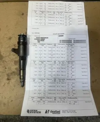 Citroen Berlingo Fuel injector 870692 0445110340