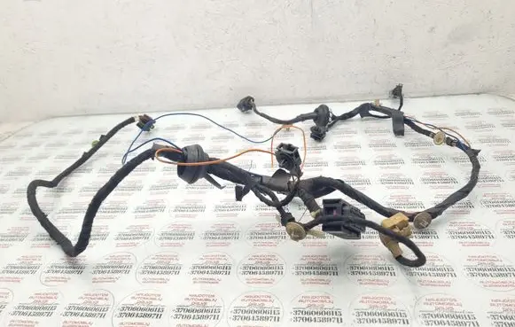 Front door wiring loom