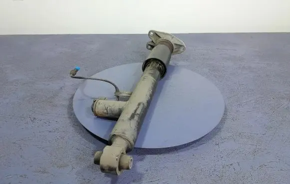 BMW 6 F12 F13 Rear shock absorber/damper 6865541