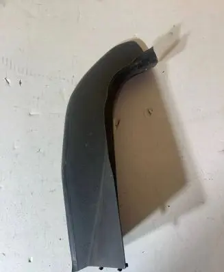 Rear/tail light trim molding