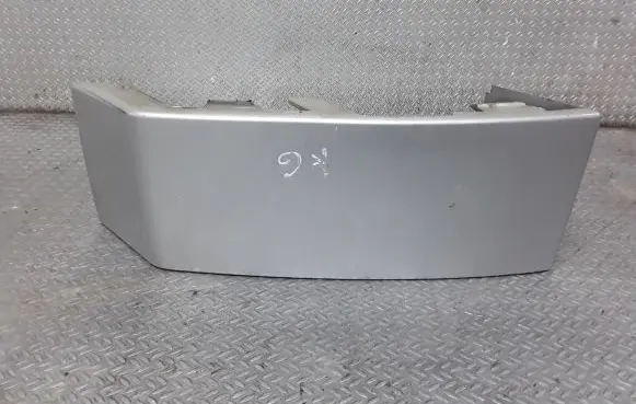 Rear/tail light trim molding