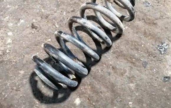 Rear coil spring