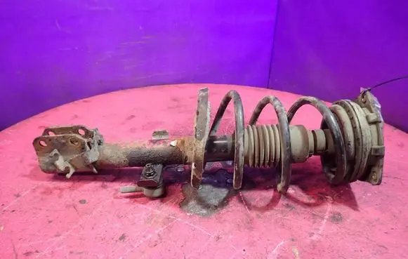 Renault Clio III Front shock absorber with coil spring