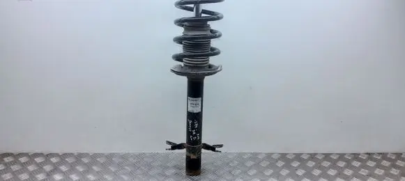 Citroen Jumper Front shock absorber with coil spring 141500314572 314572