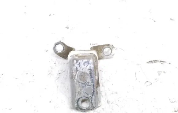 Rear door lower hinge