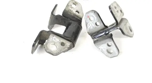 Rear door lower hinge