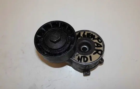 Citroen Berlingo Generator/alternator belt tensioner 766778