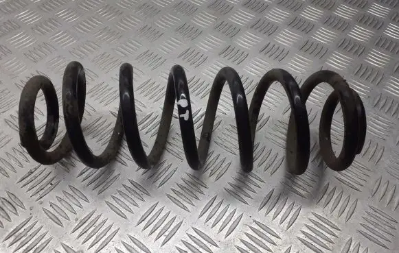 Volkswagen PASSAT B6 Rear coil spring
