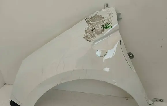 Renault Clio V Fender BLOTNIKLEWYCLIOV