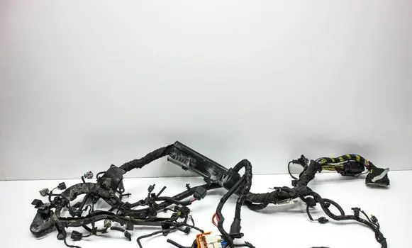 Engine installation wiring loom