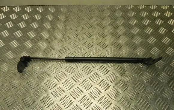 Tesla Model 3 Tailgate/trunk/boot tension spring 6006603 T2420