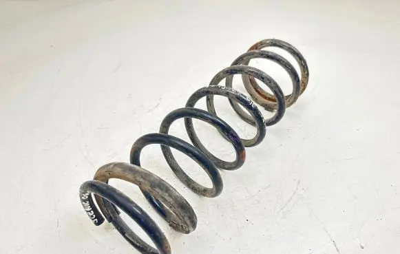 Renault Scenic I Rear coil spring